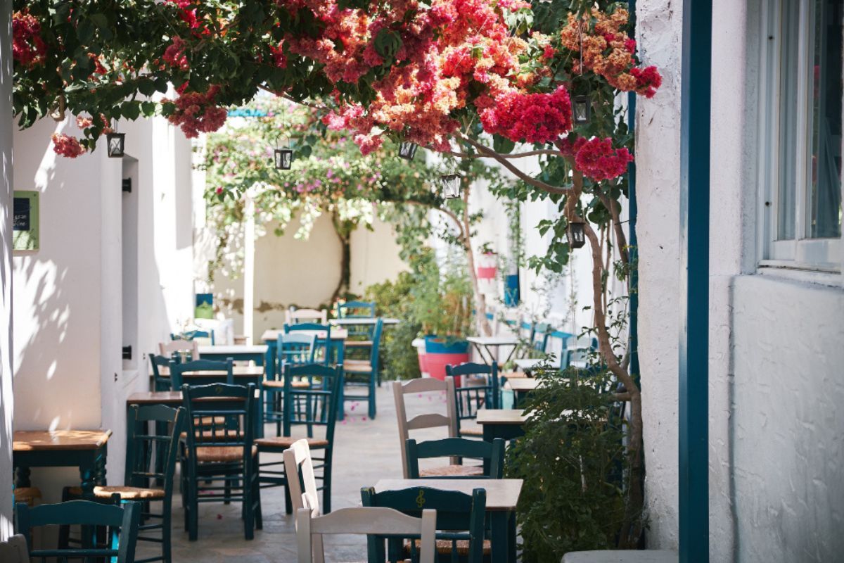 Patio terraza en un restaurante con mesas y plantas